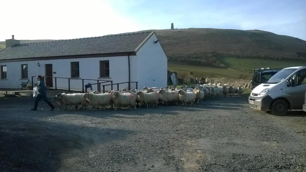 Knockaloe Beg Farm — b&b in Patrick, Isle of Man